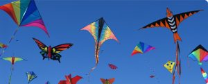 climax kite logo 1